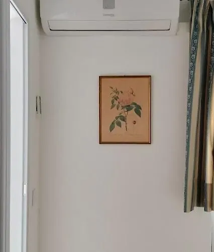 Semesterbostad Casa Dos Avos Palma -